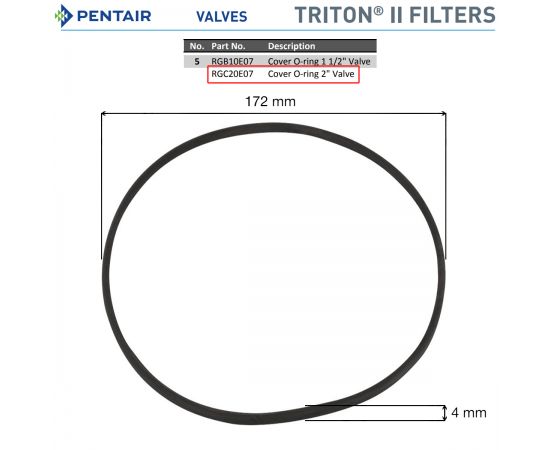 Уплотнительное кольцо Pentair RGC20E07 -  размеры