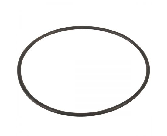 Уплотнитель крышки префильтра PSH Mini Delfino Уплотнитель крышки префильтра PSH Mini Delfino