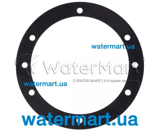 Фланець донної форсунки Emaux EM2863 (02010279) Фланець донної форсунки Emaux EM2863 (02010279)