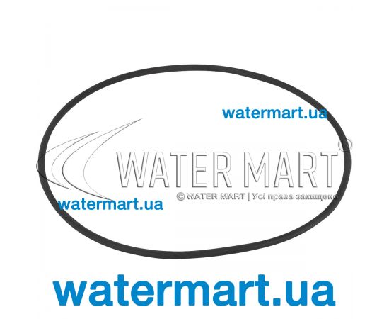 Уплотнительное кольцо Emaux MPV01/MPV03 (02011002) Уплотнительное кольцо Emaux MPV01/MPV03 (02011002)