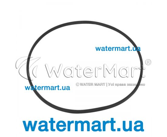 Ущільнювальне кільце донної форсунки Emaux EM2862 / EM2863 (02010277) Ущільнювальне кільце донної форсунки Emaux EM2862 / EM2863 (02010277)