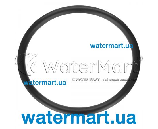 Уплотнительное кольцо дренажной заглушки насоса Saci Optima / Winner 92400035 Уплотнительное кольцо дренажной заглушки насоса Saci Optima / Winner 92400035