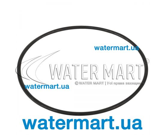 Уплотнительное кольцо корпуса насоса Saci Winner 92400018 Уплотнительное кольцо корпуса насоса Saci Winner 92400018