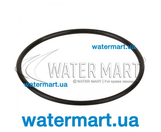 Уплотнительное кольцо корпуса насоса Kripsol (RBH0017.00R) Уплотнительное кольцо корпуса насоса Kripsol (RBH0017.00R)