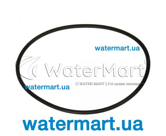 Уплотнительное кольцо крышки фильтра Hayward Polyester (NCX12005) Уплотнительное кольцо крышки фильтра Hayward Polyester (NCX12005)