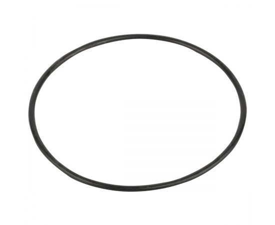 Уплотнительное кольцо Emaux SC (02021088/02011077) Уплотнительное кольцо Emaux SC (02021088/02011077)