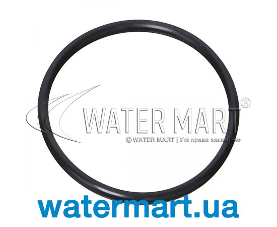 Уплотнительное кольцо насоса IML New MP / America (HD021000) Уплотнительное кольцо насоса IML New MP / America (HD021000)