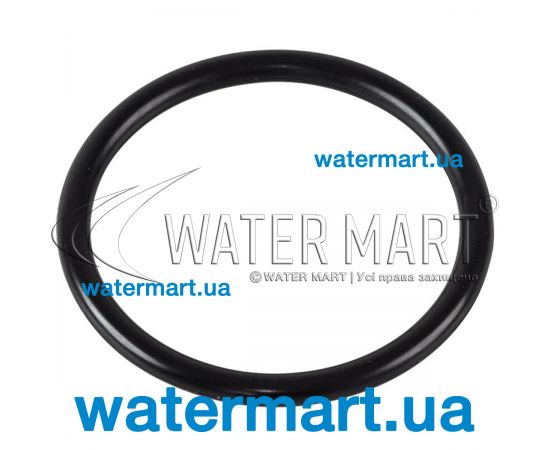 Уплотнительное кольцо насоса IML America (HD021115) Уплотнительное кольцо насоса IML America (HD021115)