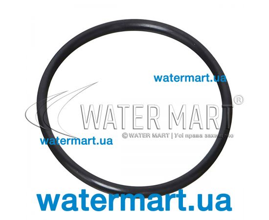 Уплотнительное кольцо Badu Magic 292.0141.252 Уплотнительное кольцо Badu Magic 292.0141.252