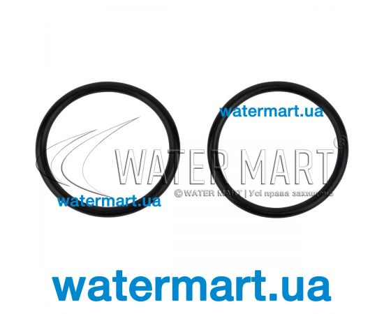 Уплотнительное кольцо муфты фильтра Hayward Polyester (NCX12038) Уплотнительное кольцо муфты фильтра Hayward Polyester (NCX12038)