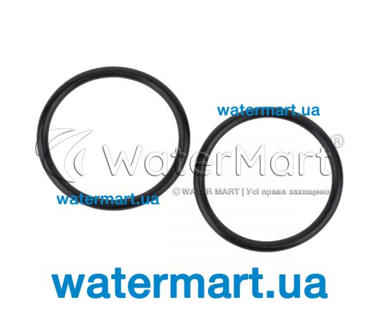 Уплотнительное кольцо Hayward (NCX12046) Уплотнительное кольцо Hayward (NCX12046)