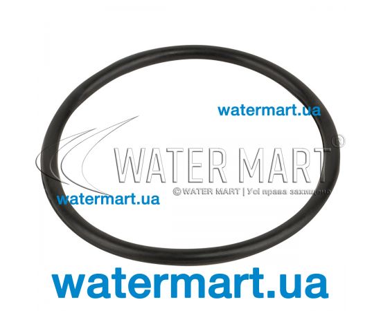 Уплотнительное кольцо диффузора Emaux MPV01/MPV07 (02011001) Уплотнительное кольцо диффузора Emaux MPV01/MPV07 (02011001)