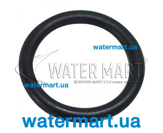 Уплотнительное кольцо винта крышки Hayward Side/PWL (SX0200Z5) Уплотнительное кольцо винта крышки Hayward Side/PWL (SX0200Z5)