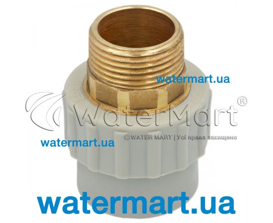 Муфта різьбова Prawtech P1300 PP-R Ø 110 x 4" P130110400