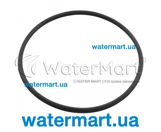 Ущільнювальне кільце​ насоса Badu 90 / Prime / Gamma / Delta  292.1141.210