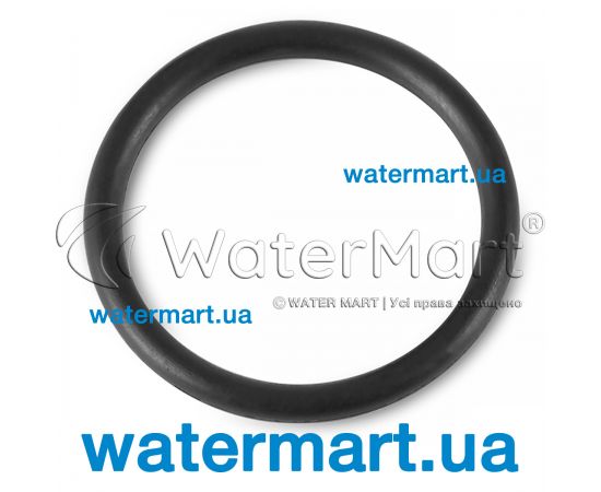 Уплотнительное кольцо корпуса префильтра насоса Saci Magnus 92402085