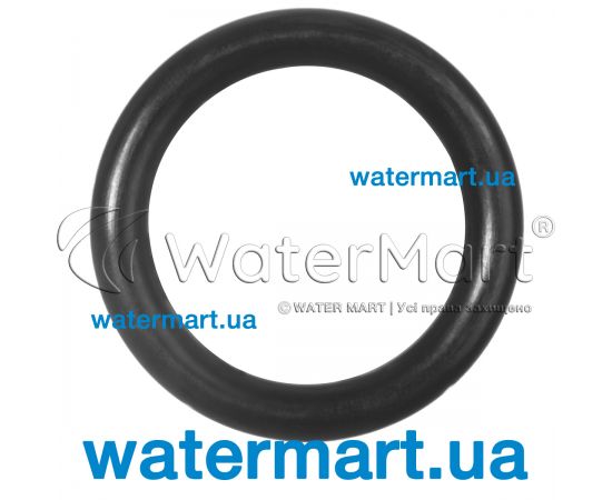 Ущільнювальне кільце 6 x 2 mm Viton насоса Badu Magic 292.0141.261