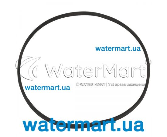 ​Уплотнительное кольцо 6-ходового клапана 2" Pentair Triton/Tagelus RGC20E07