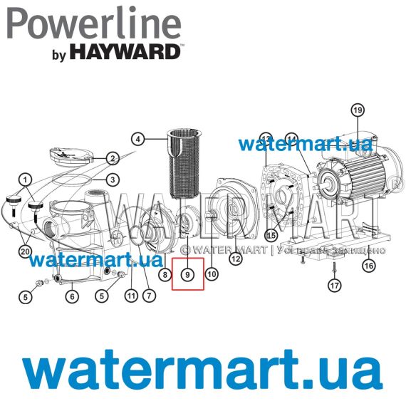 Крыльчатка насоса PowerLine Plus (SPX2607CEM) - схема