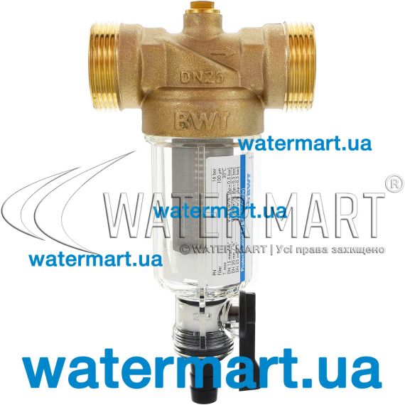 Фильтр BWT Protector mini CR (810531) - 1"