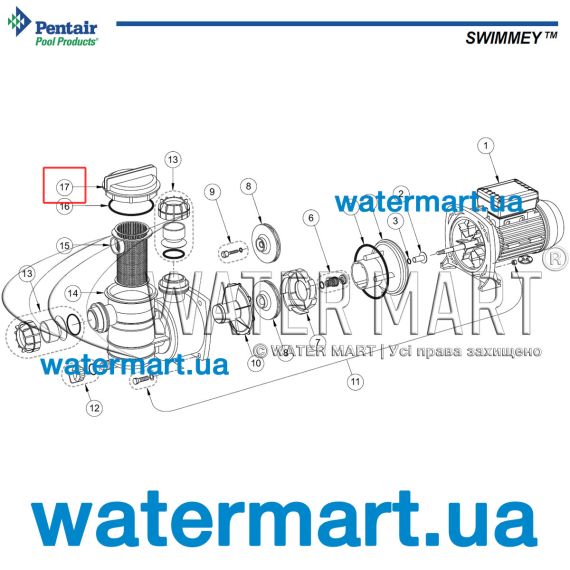 ​Крышка префильтра насоса Swimmey SW (R404293) - схема