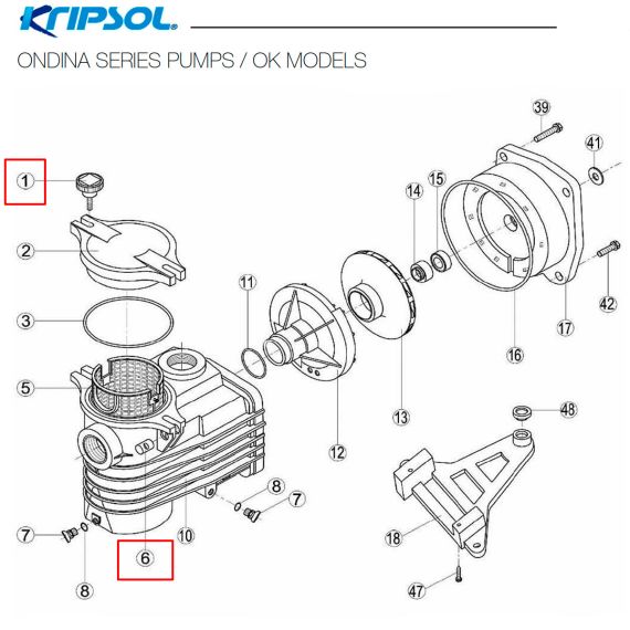 ​Винт крышки префильтра Kripsol OK (RNK010.R/RBH001.01R/500100010001) - схема