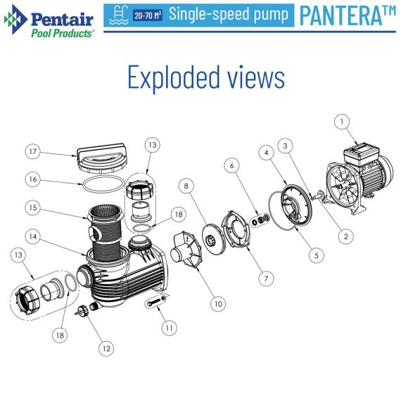 Насос для бассейна Pentair Pantera PNTR-071 - схема