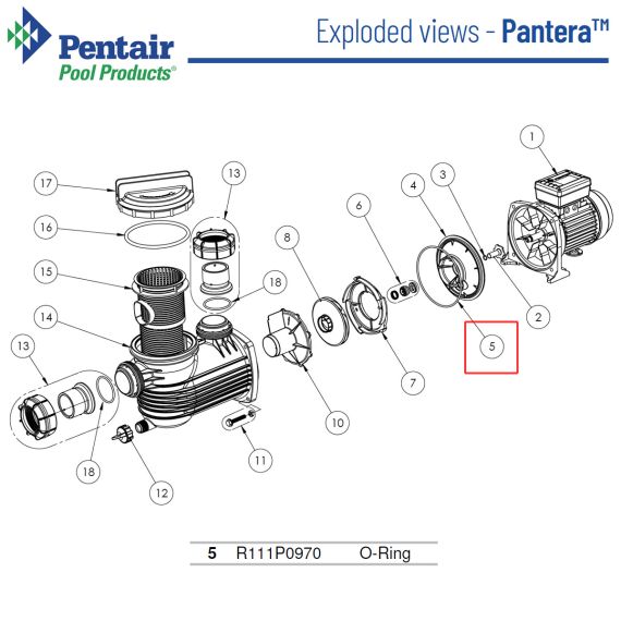 Уплотнительное кольцо насоса Pentair Pantera R111P0970 - схема