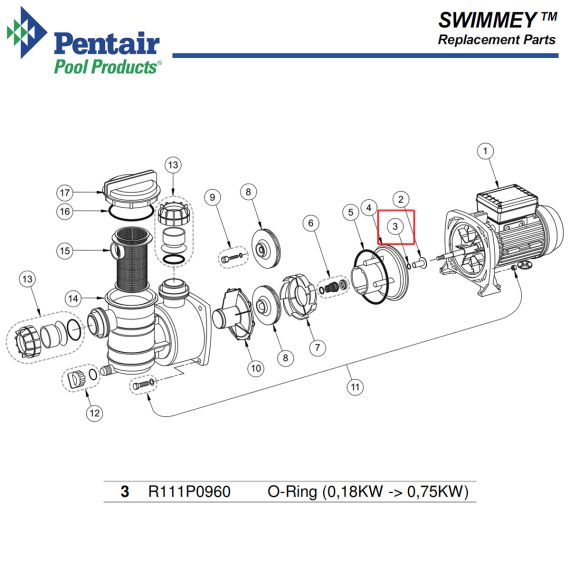 Ущільнювальне кільце насоса​ Pentair Swimmey R111P0960 - схема